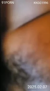 乱小说阅读目录