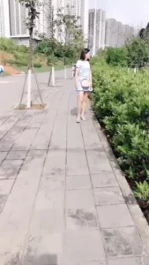 一本岛一区在线观看不卡