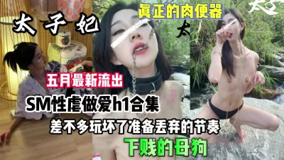 差不多玩坏准备丢弃的节奏【狠货高科技看简阶】